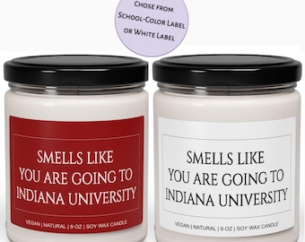 Graduation Gift, Customized Smells like You are Going to College Candle Gift for Acceptance, Decision, Graduation, Bed Party, Soy Candle 9oz