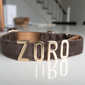 Collar de perro marrón personalizado con el nombre de tu perro - Collar con dije de letras de metal personalizable - Accesorios para perros - Collar de perro con monograma