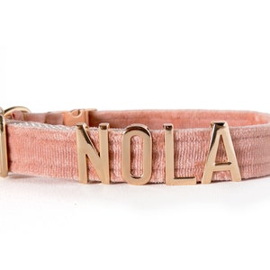 Collar para gatos, collar personalizado para mascotas, collares personalizados para gatos con etiqueta metálica personalizada, accesorios para mascotas