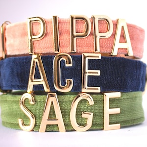 Collar de perro personalizado de terciopelo con letras doradas, nombre y collar para perrita. ¡Perfecto para tu princesita! Collar XS Comfort.