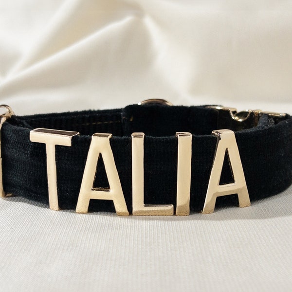 PetyzPaws. Customized Velvet Dog Collar With Metal Charm Name - Black/Gold