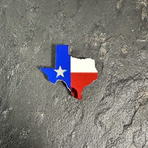 TEXAS STATE Pin