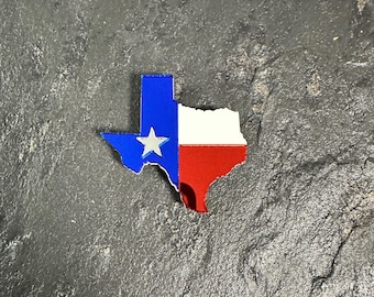 TEXAS STATE Pin