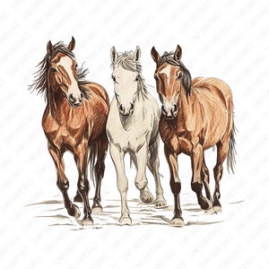 Horse Western Desert, PNG Sublimations, Western Sublimations, Designs Downloads, Shirt Design, Sublimation Download