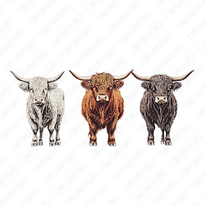 Highland Cow PNG, Western Design, PNG Sublimations, Farm Sublimations, Designs Downloads, Shirt Design, Sublimation Download
