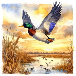 JPEG Pato real Pato salvaje JPEG Puesta de sol Caza de humedales Patos voladores Temporada de caza Descarga instantánea Artesanías de papel Diario basura Scrapbooking