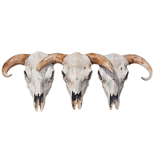 Bull Skull Western Desert, PNG Sublimations, Western Sublimations, Designs Downloads, Shirt Design, Sublimation Download