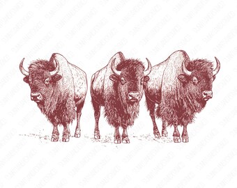 Bison Western Desert, PNG Sublimations, Western Sublimations, Designs Downloads, Shirt Design, Sublimation Download