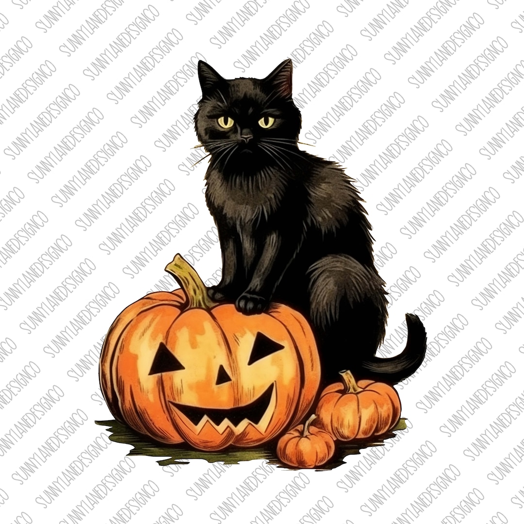 Black Cat on Pumpkin Halloween PNG, Pumpkin Ghost Clipart, Fall PNG ...