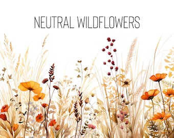 Watercolor Floral Clipart, Wildflowers floral clipart , Floral border set, Meadow Flowers png, Summer fall flowers, Digital clipart PNG