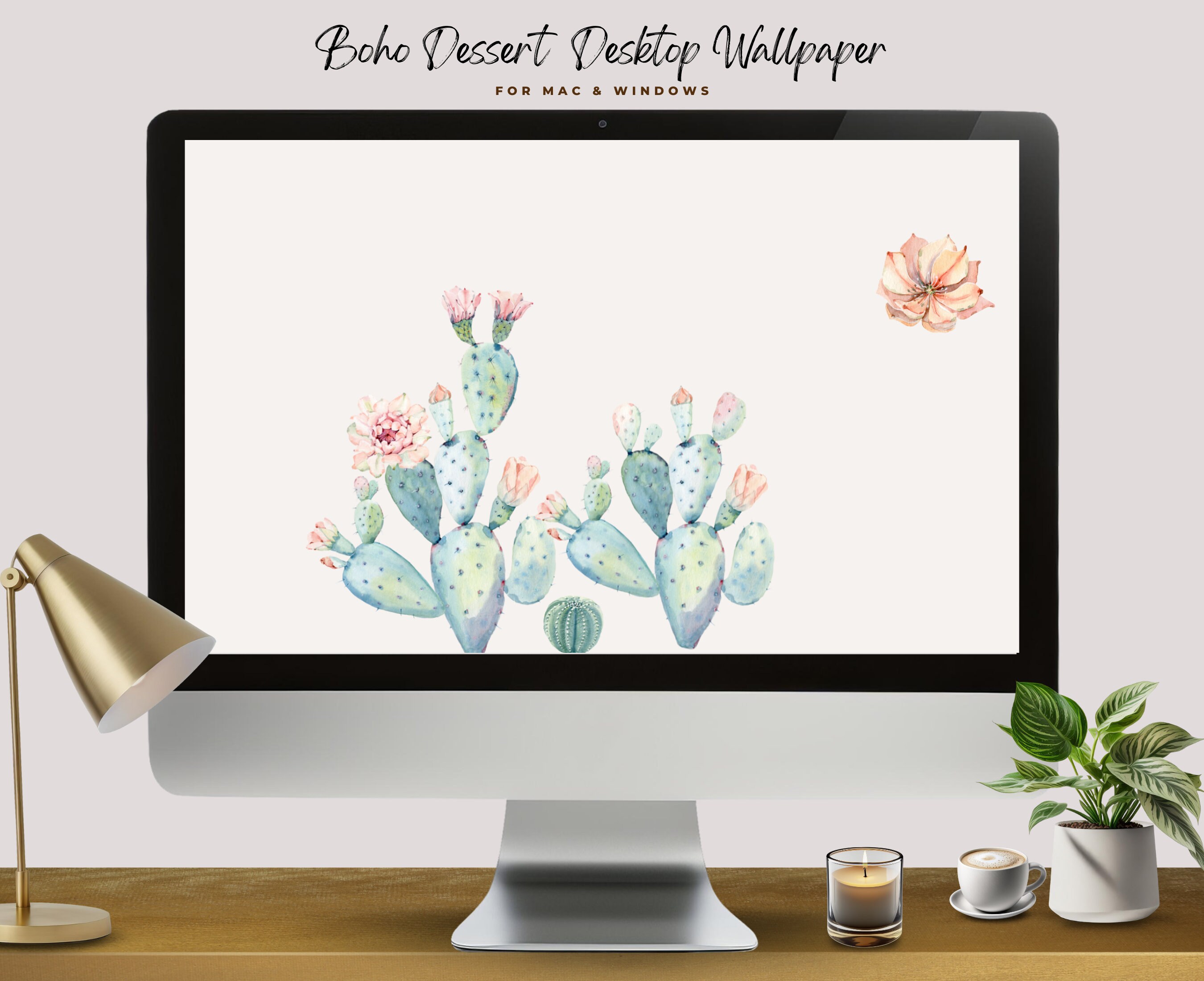 4K Kawaii Cute Cactus Wallpapers HD::Appstore for Android