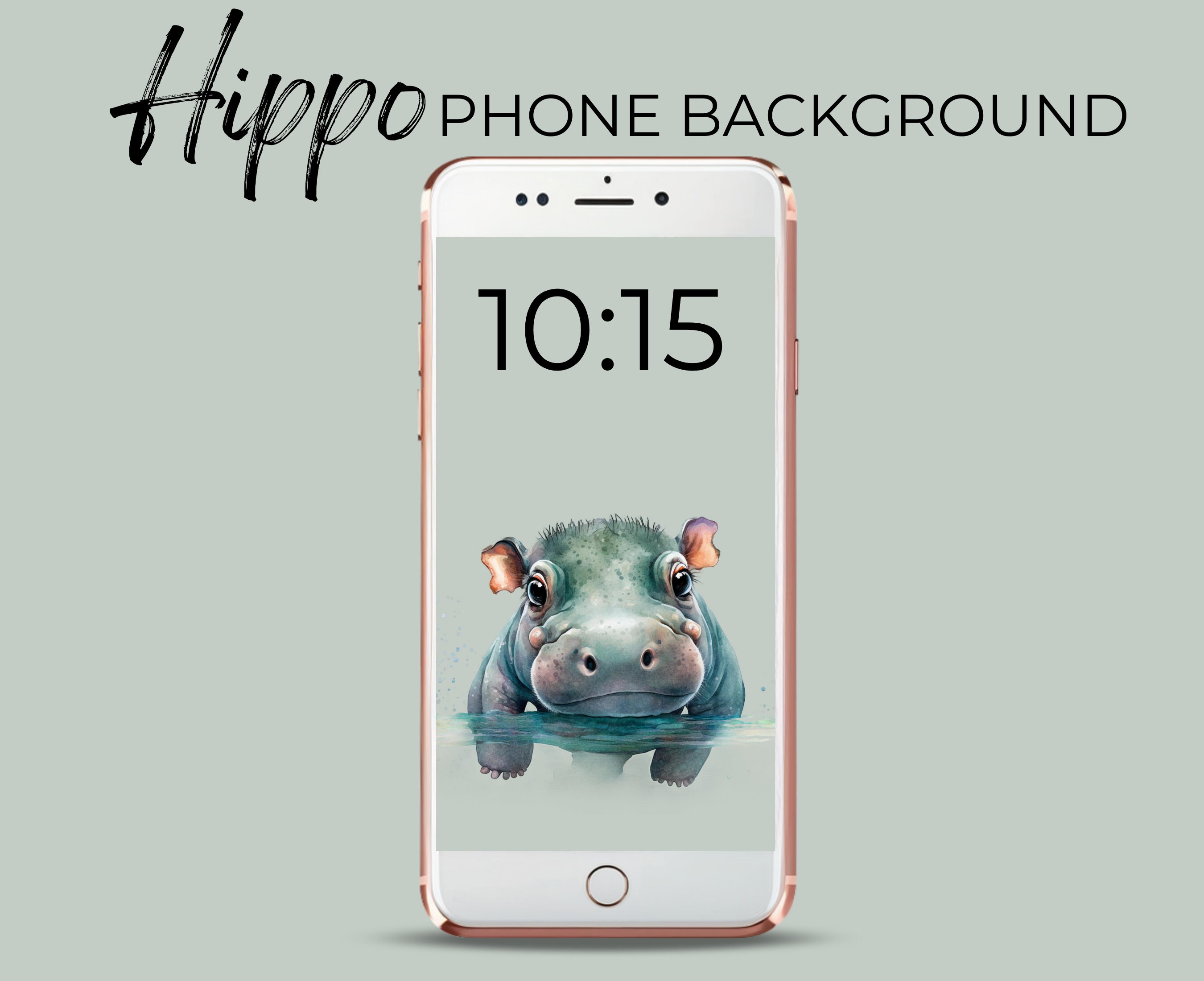 500+ Free Hippopotamus Pictures and Images in HD - Pixabay