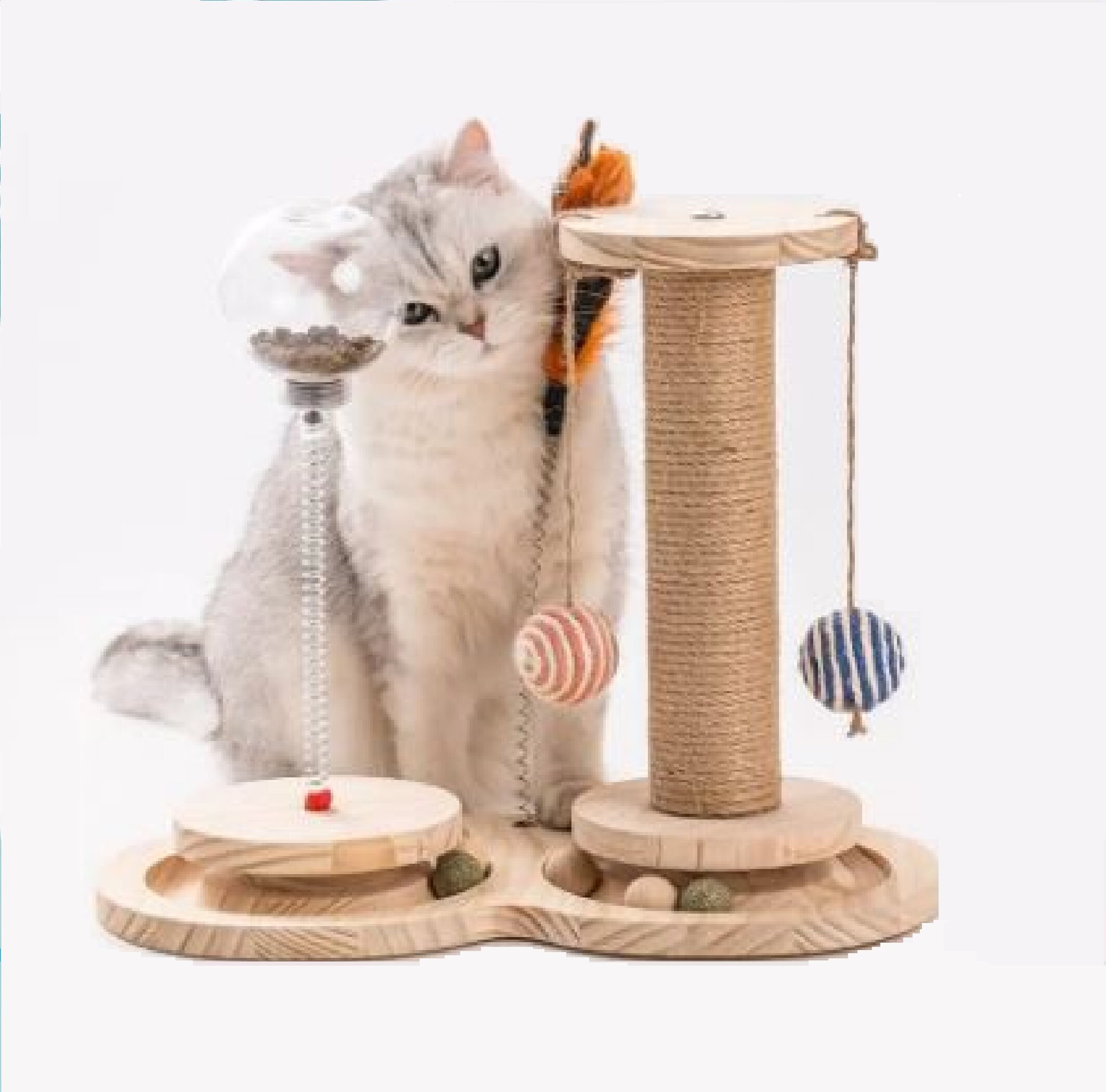 Cat Feather Toy 