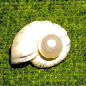 Vintage Brooch White Seashell with Pearl