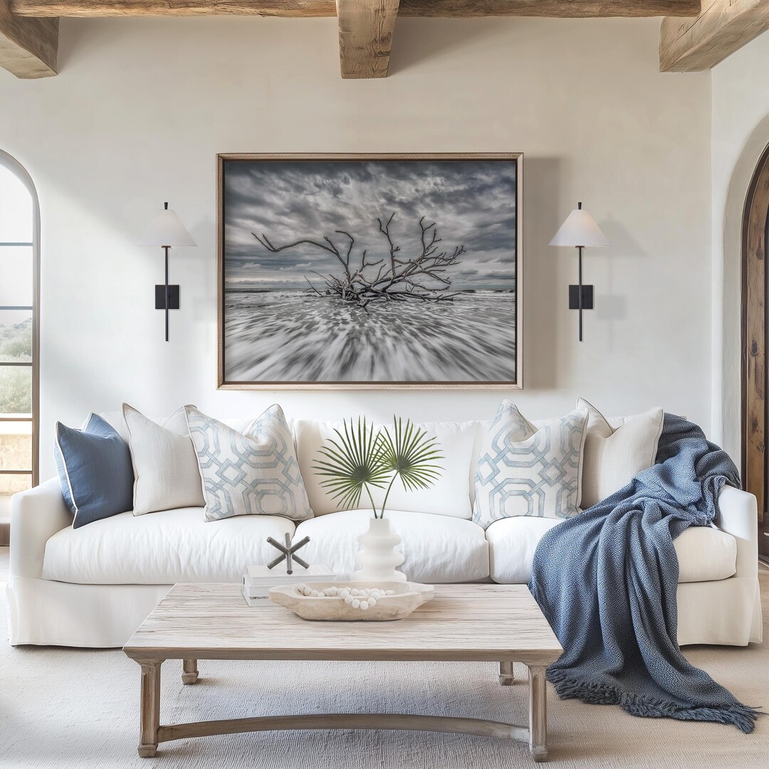 Driftwood Coastal Wall Art: Charleston Low Country Photography Print ...