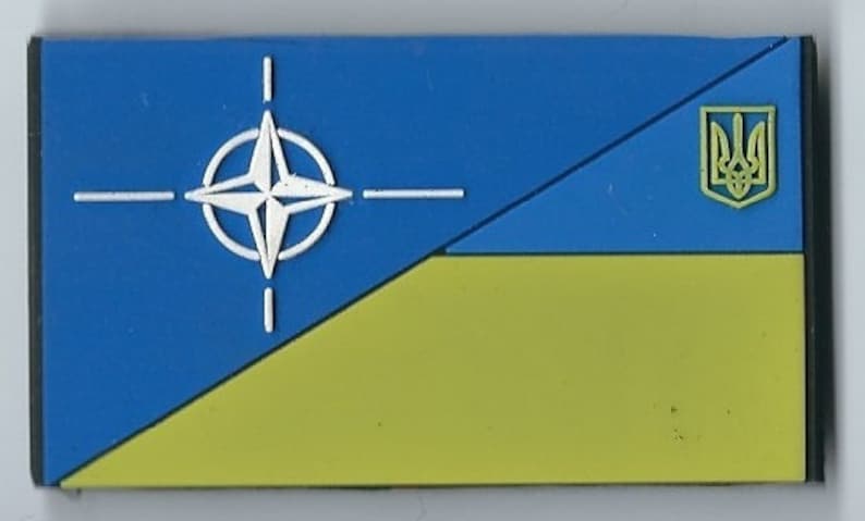 May include: A blue and yellow flag with a white compass star in the upper left corner and the Ukrainian coat of arms in the upper right corner.