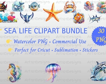 Leben im Meer Clipart Bundle Aquarell PNG | Ozeantiere Grafiken | Unter dem Meer Clipart für Sublimation, Cricut & Klassenzimmer | Kommerzielle Nutzung