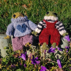 May include: Two handmade knitted frog dolls are holding hands, set against a backdrop of green grass and purple flowers. One frog wears a blue sweater with a heart and pink pants. The other frog is in red overalls and a black and white striped sweater.