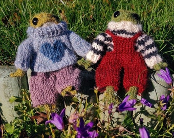 Handknitted Clothes for Mini Frog