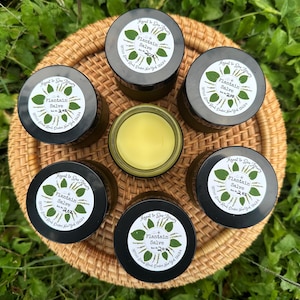 Plantain Salve ~ Wildcrafted