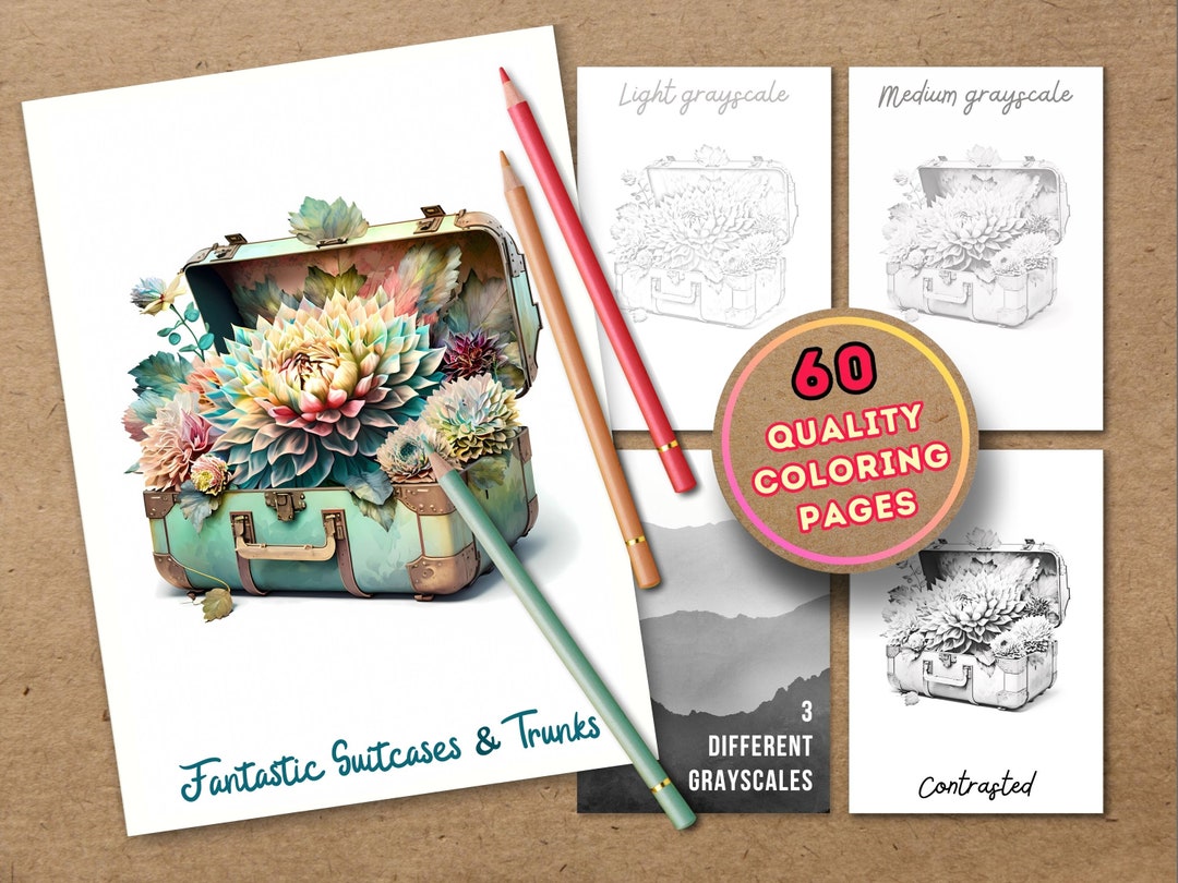 60 Coloring Pages Suitcases and Vintage Trunks in Flowers 3 Levels of