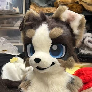 Spot Fursuit Australian Shepherd Puppy Fursona Fursuit Kemono Cospaly fursuit head