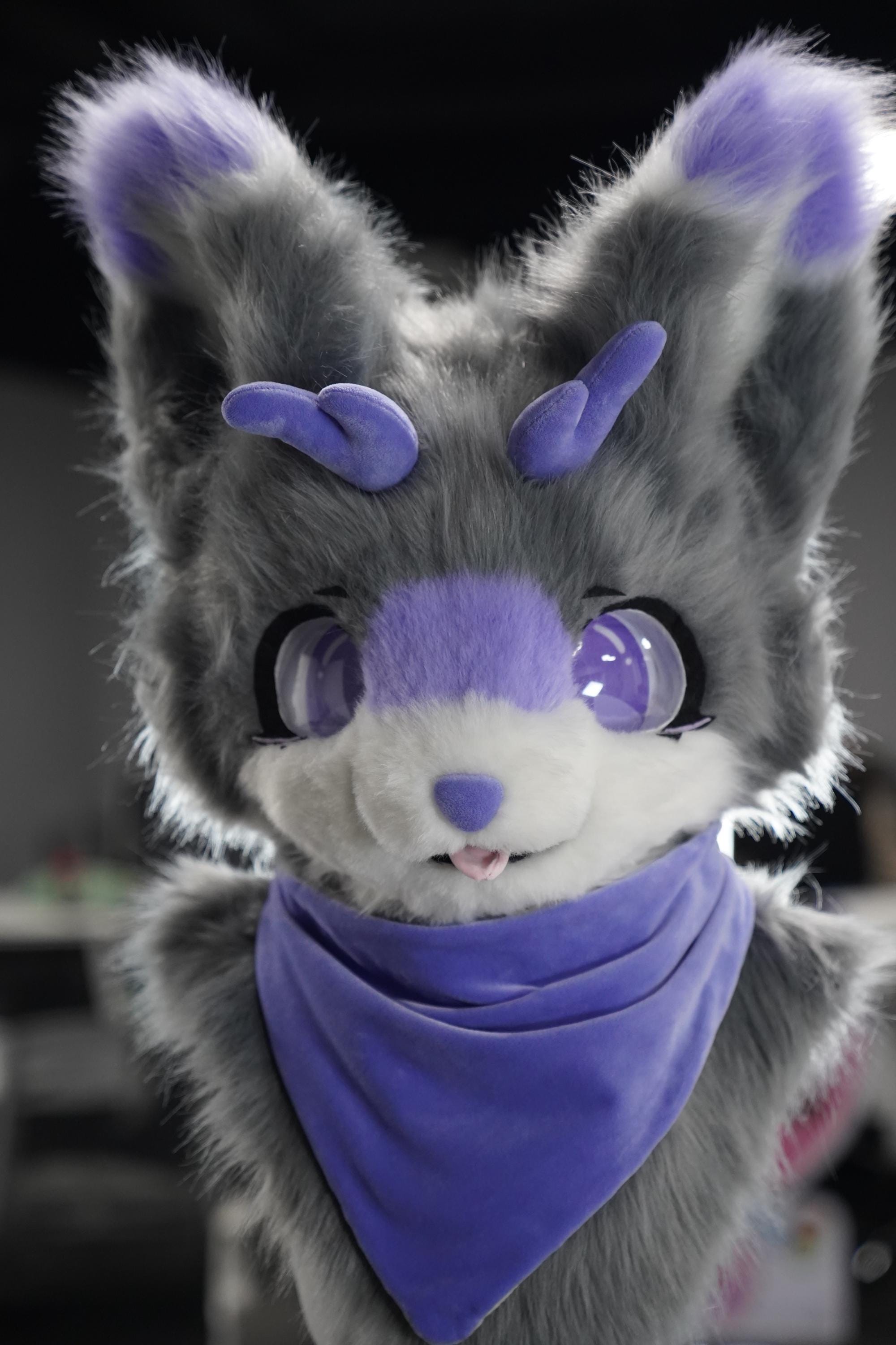 ケモノ着ぐるみ　ドラゴン スポット商品 ケモノ着ぐるみ かわいい小さなドラゴン 日本の