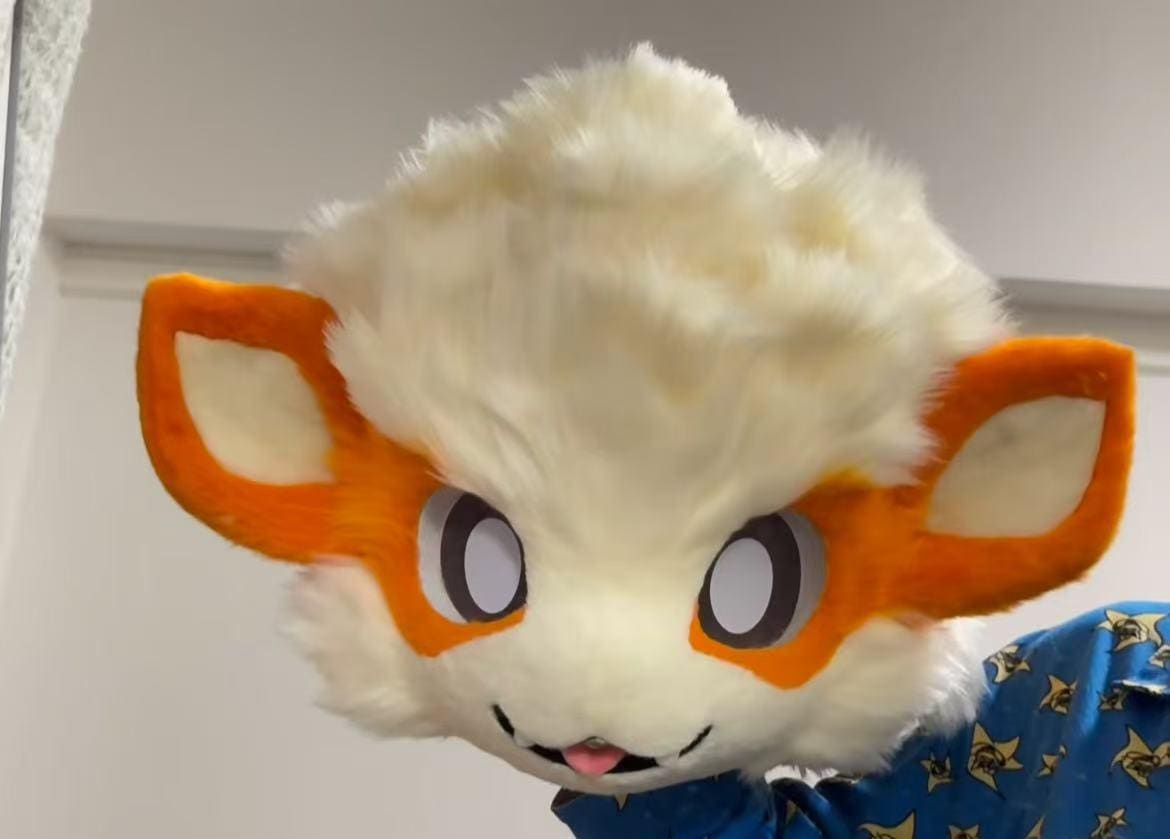 Lucario fursuit - Etsy 日本