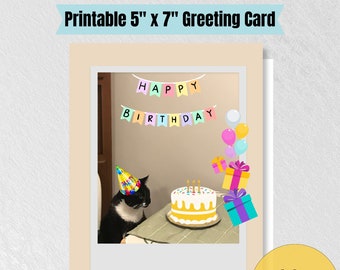 Funny Cat Birthday Card: Printable 5x7 Greeting Card (Digital Download)