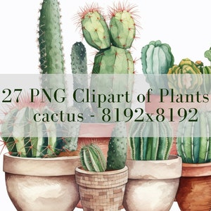 27 HD Clipart PNG / Bundle House plantas y cactus clipart / Descarga digital