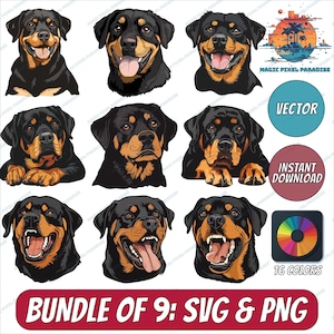 Rottweiler SVG Bundle | 9 SVG & PNG | 16 Colors | Instant Download | Rottweiler clipart, rott weiler, rottweil, rottweiller dog, Pet Vectors