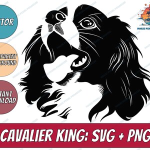 Cavalier King Charles Spaniel SVG, Dog svg files for Cricut, Breed, funny face head Clipart, download, laser cut vector, Pet png, plasma SVG