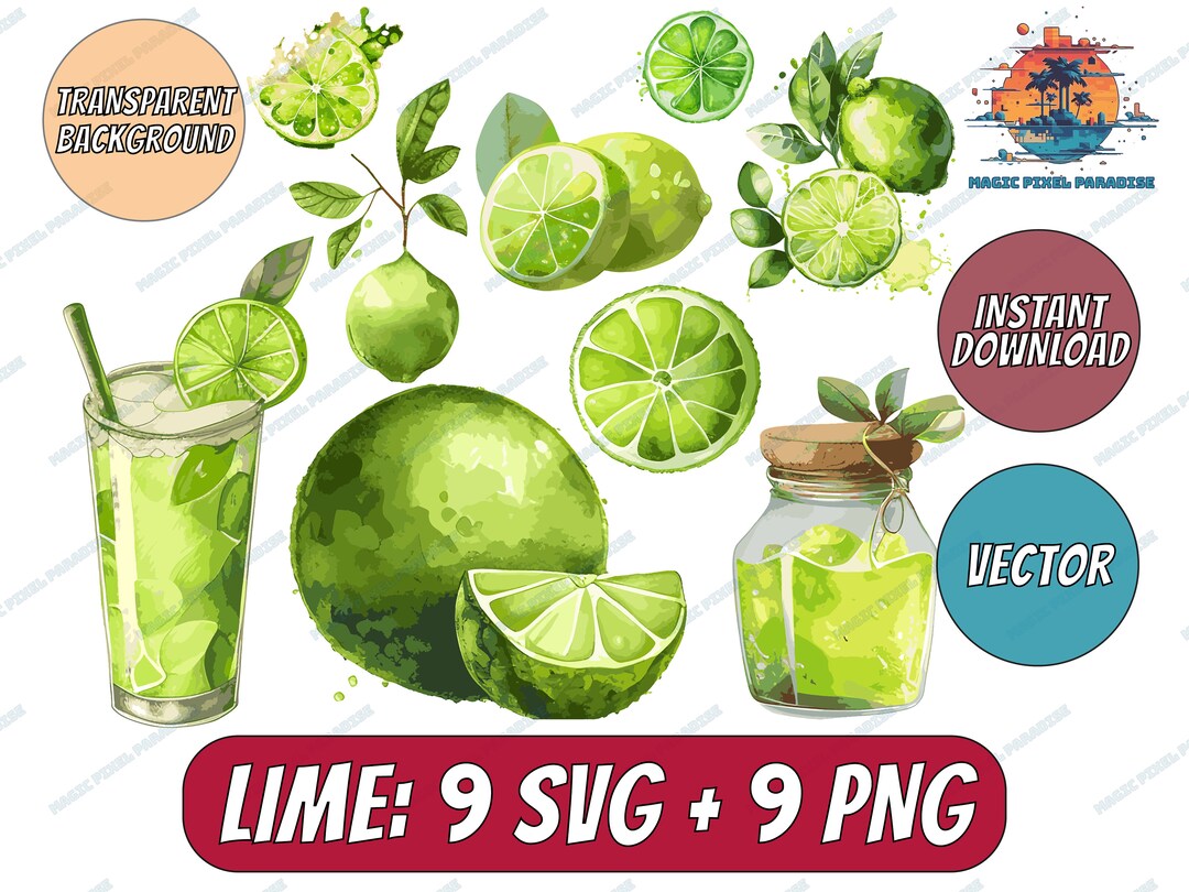 Watercolor Key Lime Clipart SVG Key Lime SVG and PNG Citrus Graphics