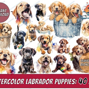 40 Labrador Retriever Puppies Clipart Collection PNG | Black Lab | Black Labrador Clipart | Cute Dog Clipart | Dog PNG | Dog Portrait