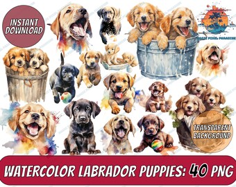 40 Labrador Retriever Puppies Clipart Collection PNG | Black Lab | Black Labrador Clipart | Cute Dog Clipart | Dog PNG | Dog Portrait
