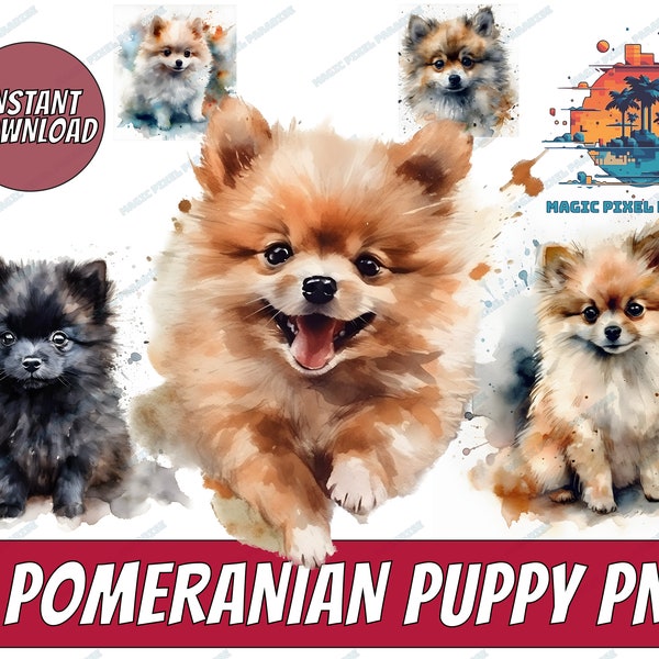 Pomeranian  Puppy Watercolor Clipart | Pomeranian Dog PNG | Dogs | Puppies | Little Pet | Doggie Animal