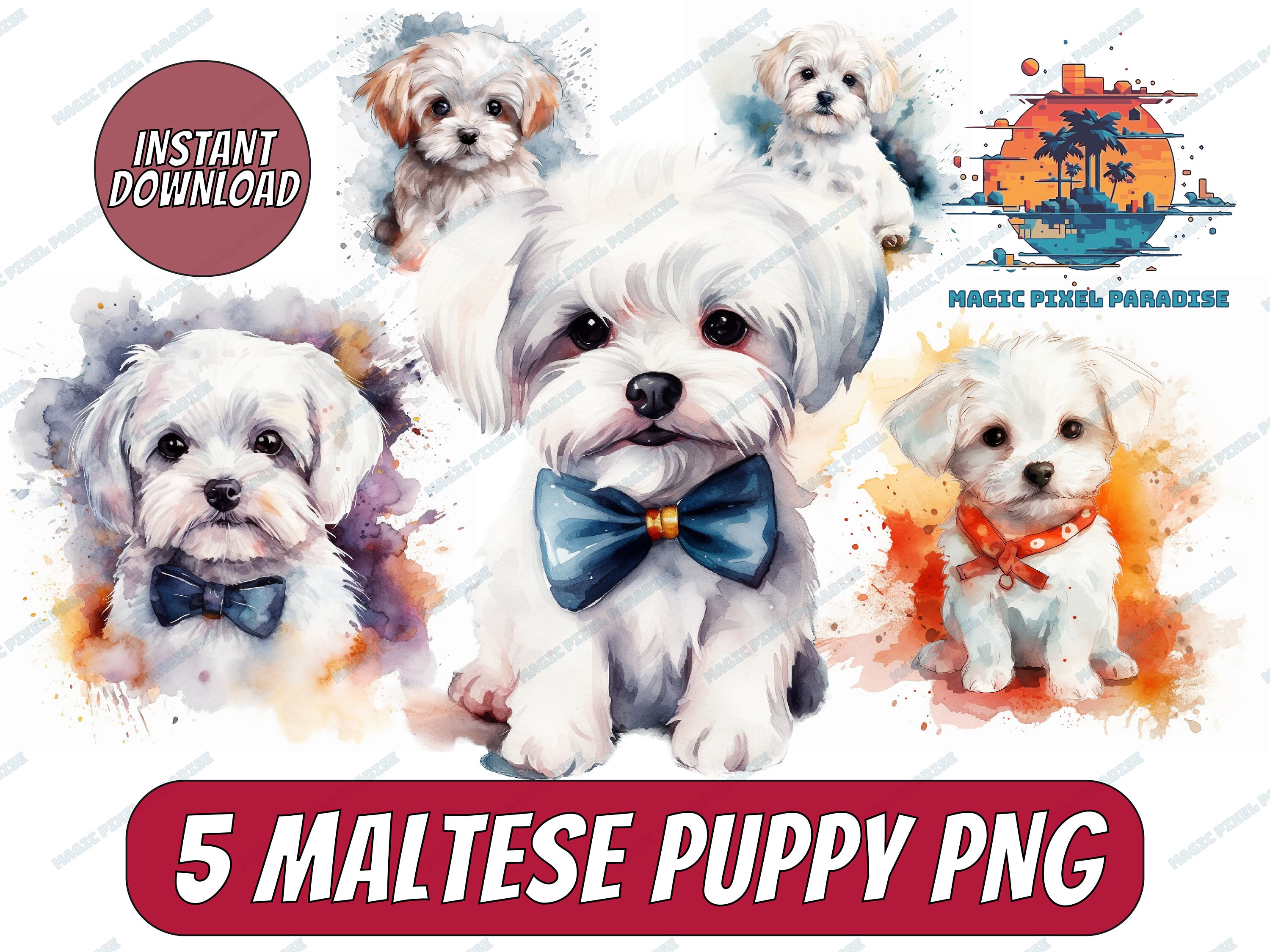 Cute Maltese Puppy Watercolor Clipart | Maltese Dog PNG | Dogs ...