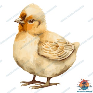Watercolor Chicken Clipart SVG - Cute Chickens and Chicks, Farm Animal ...