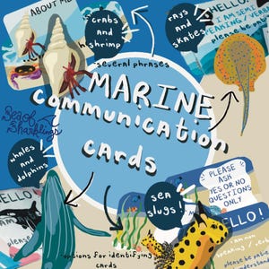 Communicatiekaarten sleutelhanger thema zeeleven | Niet-spreken, non-verbaal, semi-verbaal, autisme, neurodivergent | walvis/dolfijn/rog/krab/zeehond