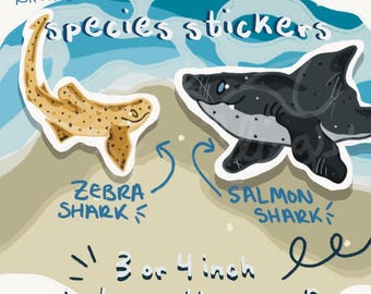 Shark Species Vinyl Sticker | Unique Sea Creature Laptop Decal