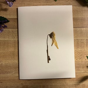 Cartão em branco de flor prensada 5x7