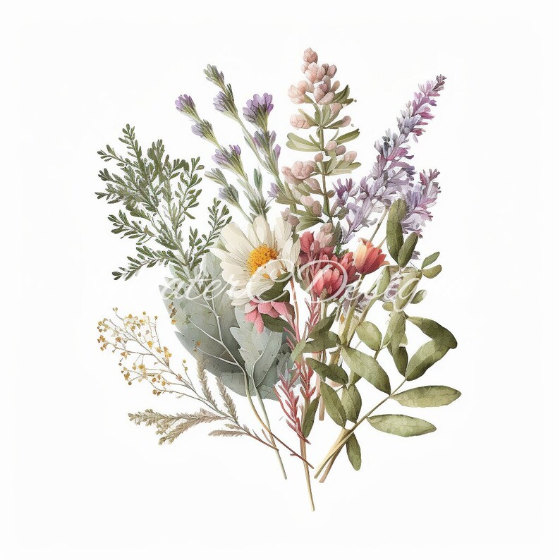 Wildflower Bouquet Clipart 18 High Quality Png's Etsy