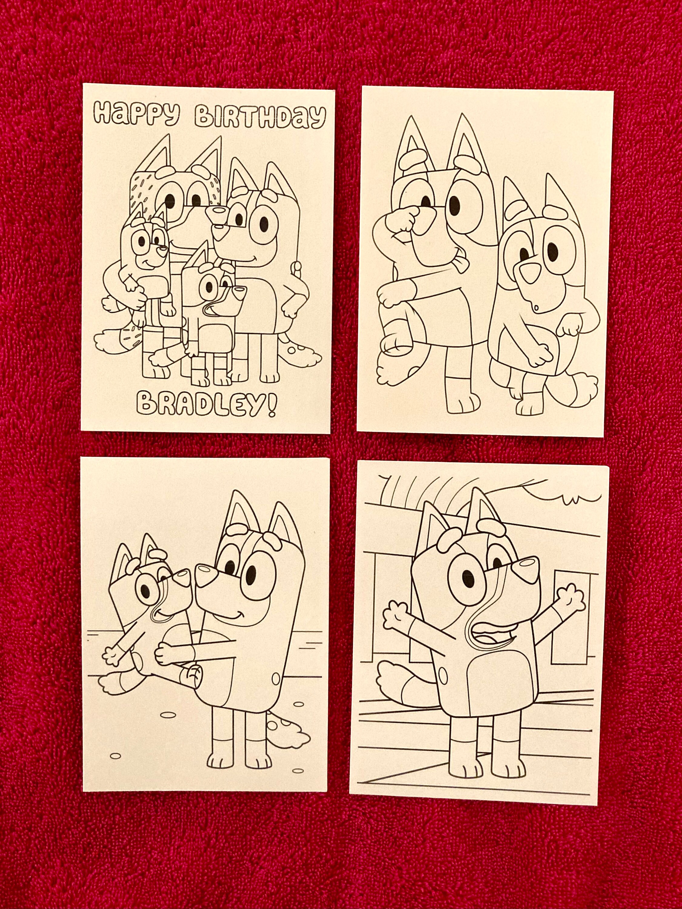 Personalized Bluey Birthday Printable Mini Coloring Pages Birthday ...