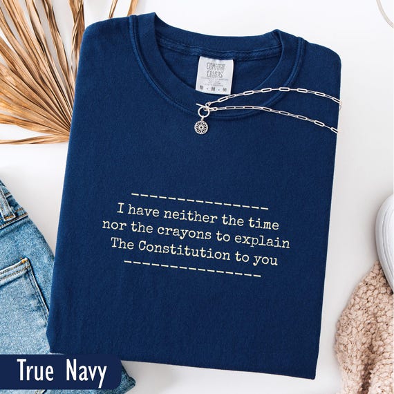 Democratic Tshirt Pro Democracy Shirt Comfort Colors Defend The Constitution Sarcastic Anti Trump Political Protest Shirt Liberal Ironic tee