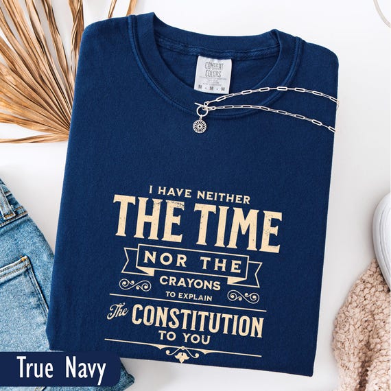 Democratic Tshirt Pro Democracy Shirt Comfort Colors Defend The Constitution Sarcastic Anti Trump Political Protest Shirt Liberal Ironic tee