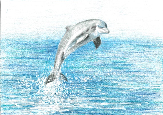 Cute drawing by my sister : r/Dolphins