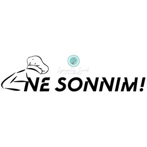 Stray Kids God&#39;s Menu &quot;Ne Sonnim!&quot; Quote
