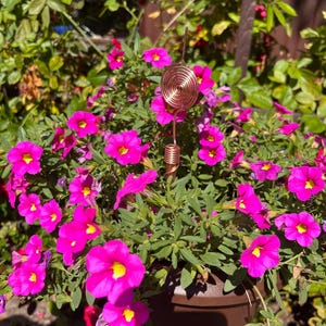 Copper electroculture antenna placed among blooming flowers in garden pot