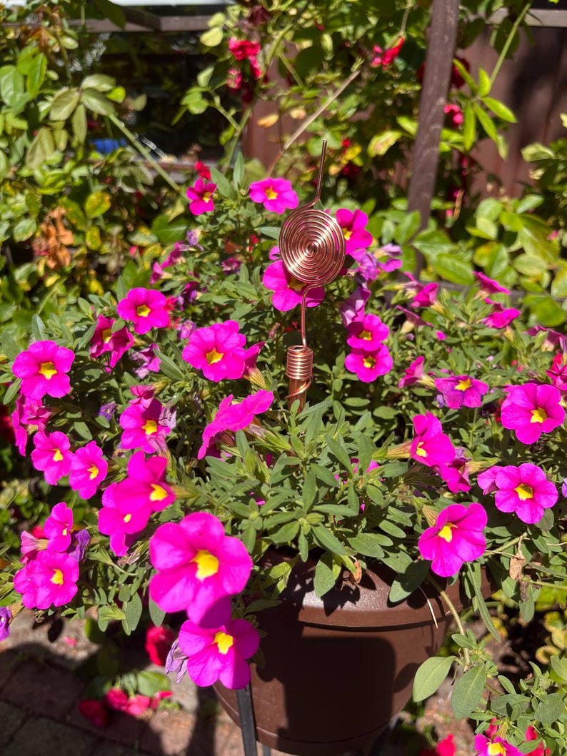 Copper electroculture antenna placed among blooming flowers in garden pot