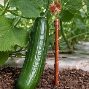 Tesla 369 Copper Electroculture Antennas (4-Pack) – Soil Energy Boosters for Indoor & Outdoor Plants | Pure Copper Spiral Garden Tools image 20